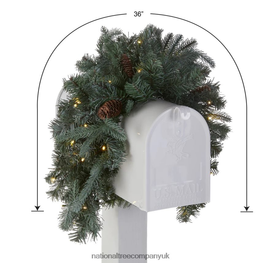 Greenery | National Tree Company Pre-Lit Artificial Mailbox Swag Decoration Green Arctic Spruce LED Lights Decorated with Pine Cones Christmas Collection 3 Feet F2L4F446